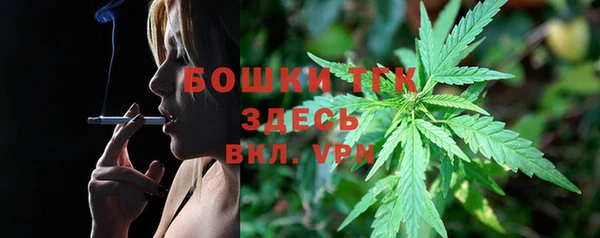 шишки Аркадак