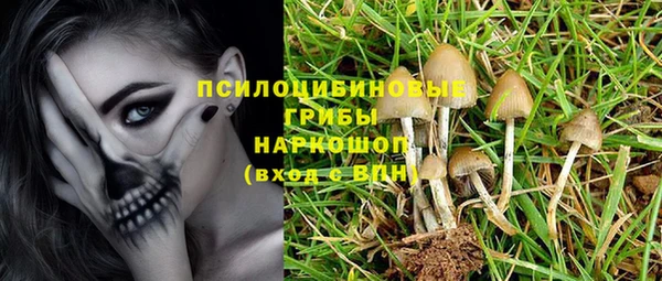 шишки Аркадак
